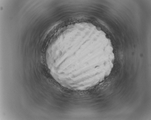 X0000071830823200607290040