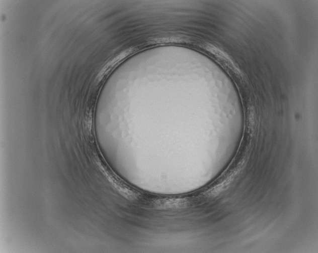 X0000071830841200607290040