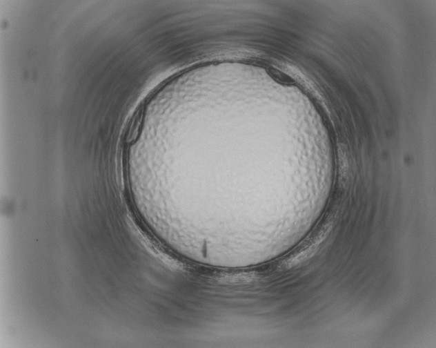 X0000071830843200607290040