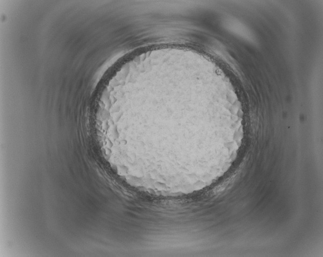 X0000071830875200607290040