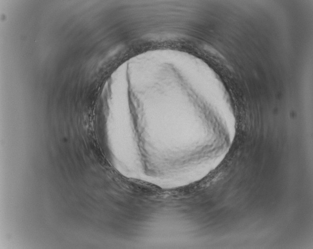 X0000071830966200607290038