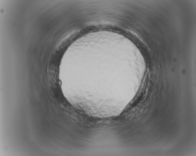 X0000071830967200607290038