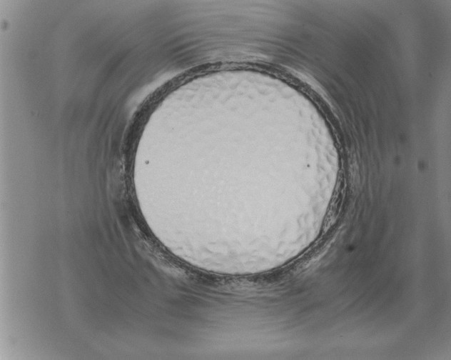 X0000071830971200607290038