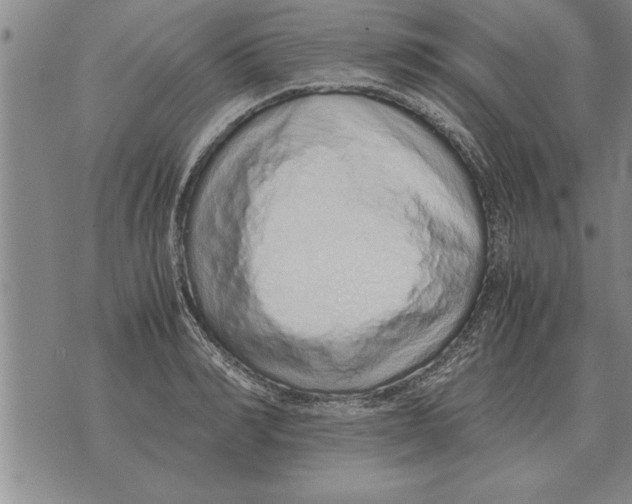 X0000071830990200607290038