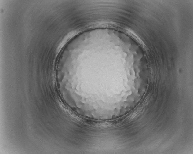 X0000071830994200607290038