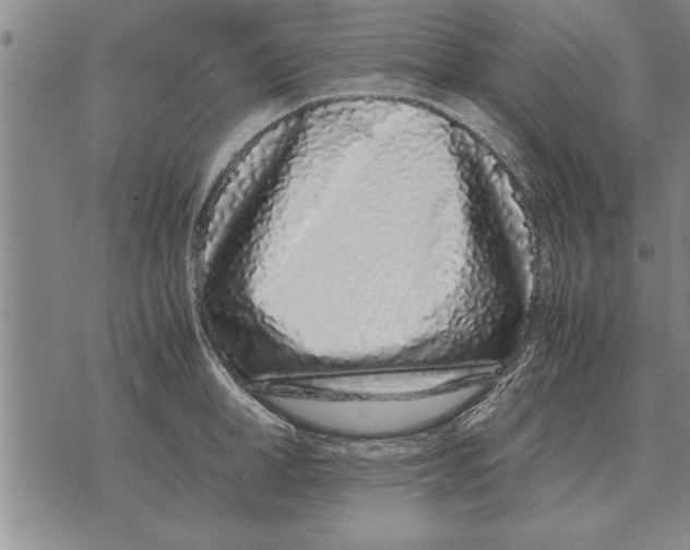 X0000071830998200607290038