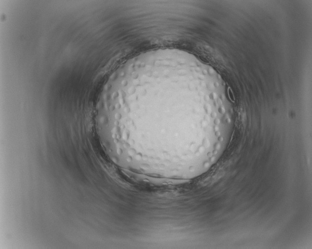 X0000071831012200607290037