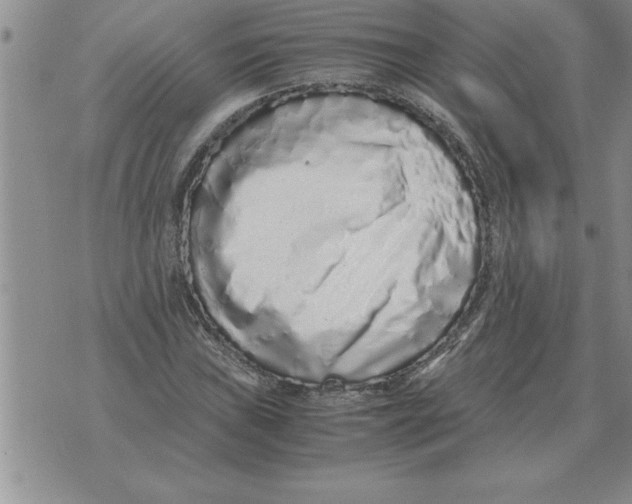 X0000071831019200607290037