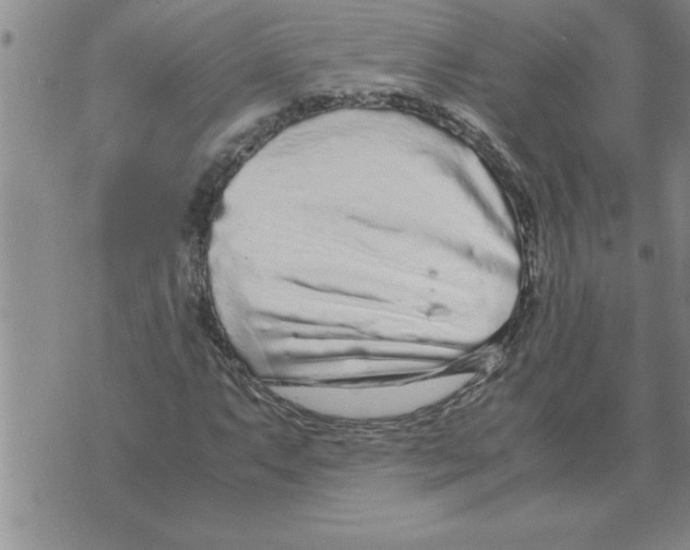 X0000071831063200607290036