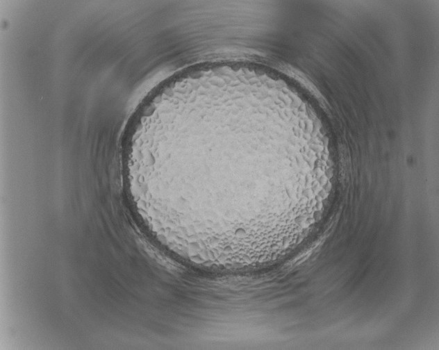 X0000071831075200607290036