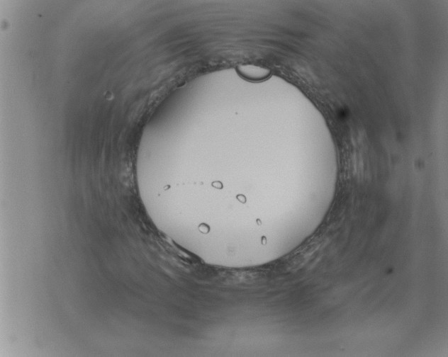 X0000071831109200607290035