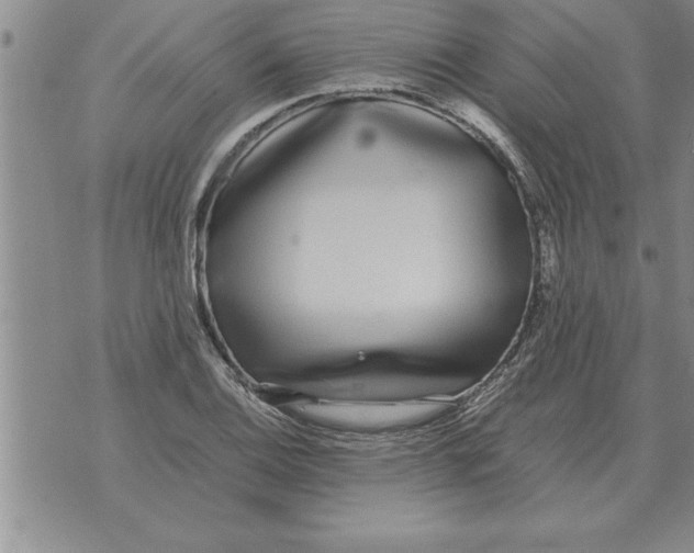 X0000071831124200607290035