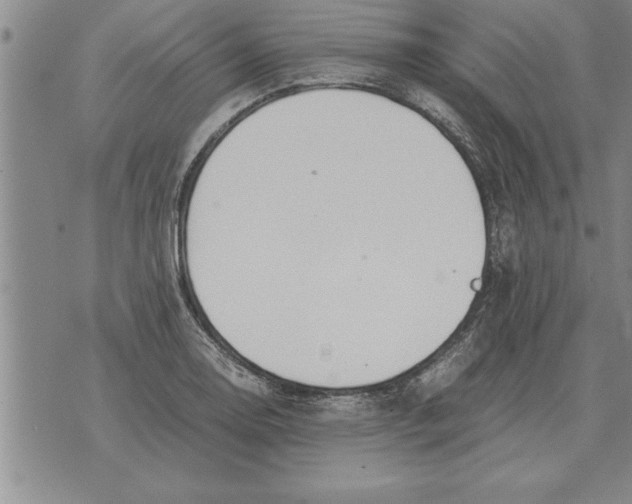 X0000071831130200607290035