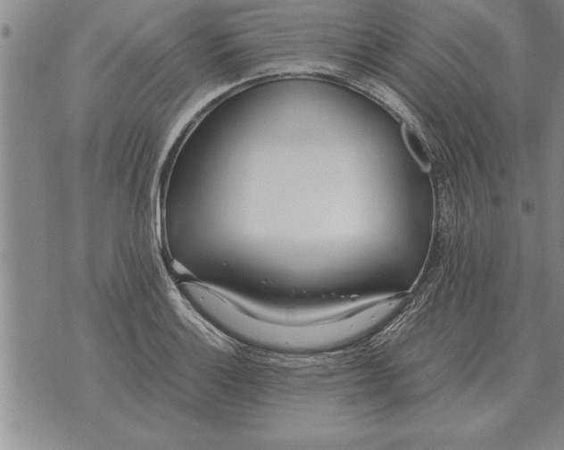 X0000071831132200607290035