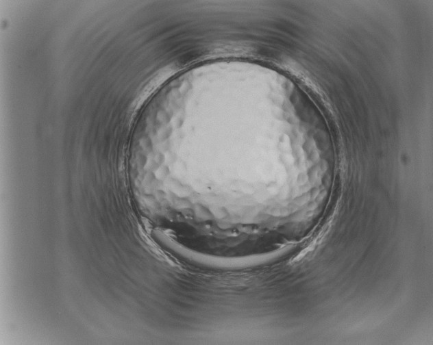 X0000071831137200607290036