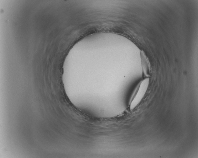 X0000071831153200607290035