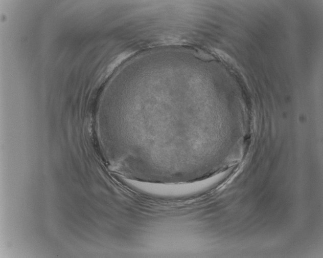 X0000071831161200607290035