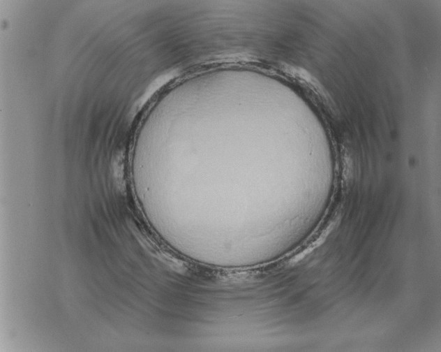 X0000071831162200607290035