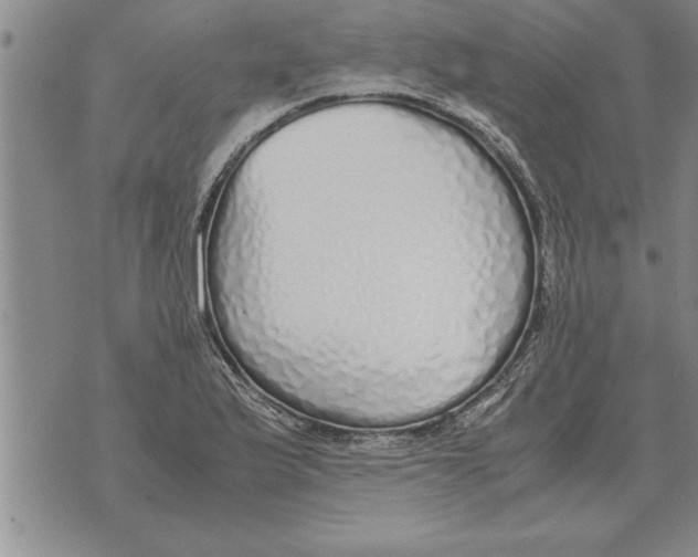 X0000071831175200607290035