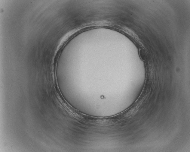 X0000071831176200607290035