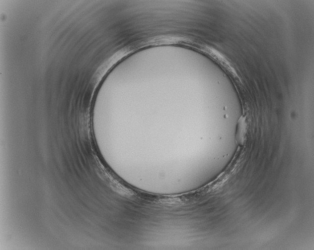 X0000071831186200607290034