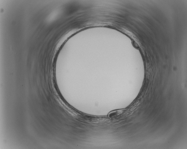 X0000071831187200607290034