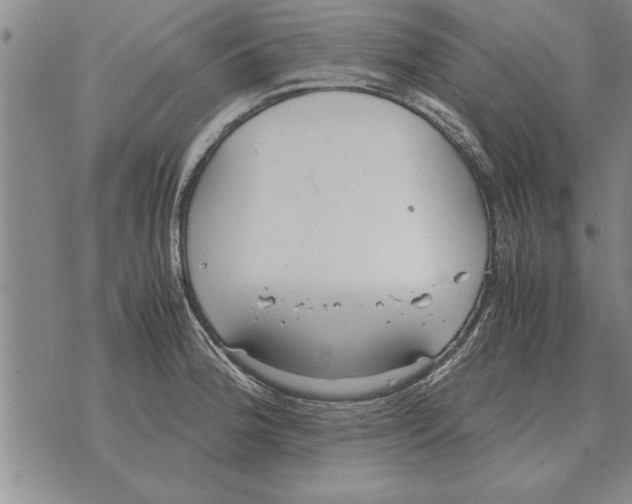 X0000071831188200607290034