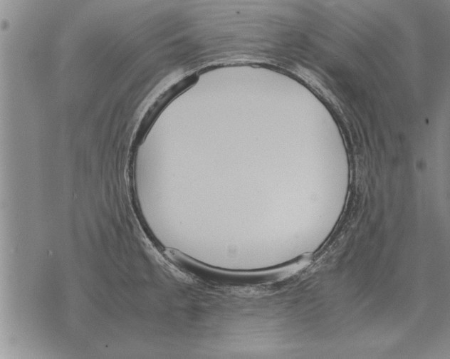 X0000071831189200607290034