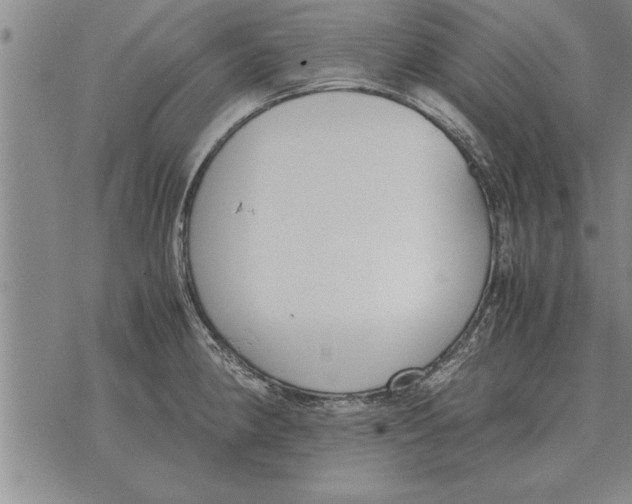 X0000071831190200607290034