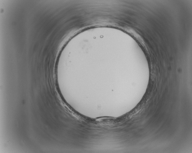 X0000071831191200607290034