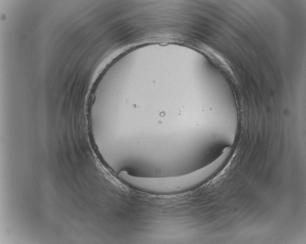 X0000071831192200607290034