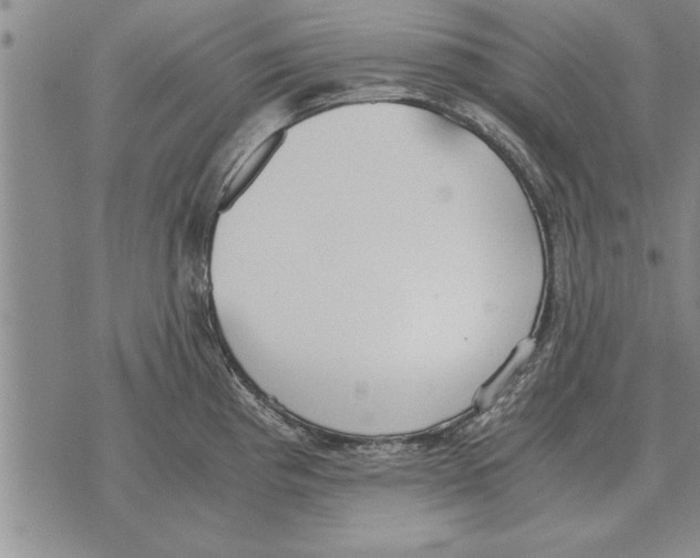 X0000071831193200607290034