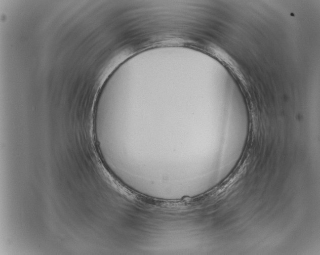 X0000071831194200607290034