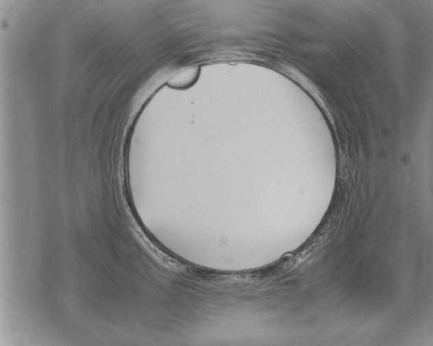 X0000071831195200607290034