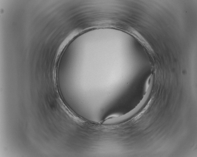 X0000071831196200607290034