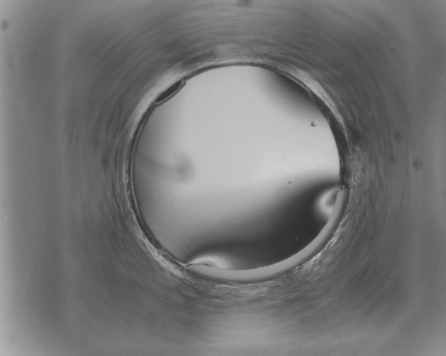 X0000071831197200607290034