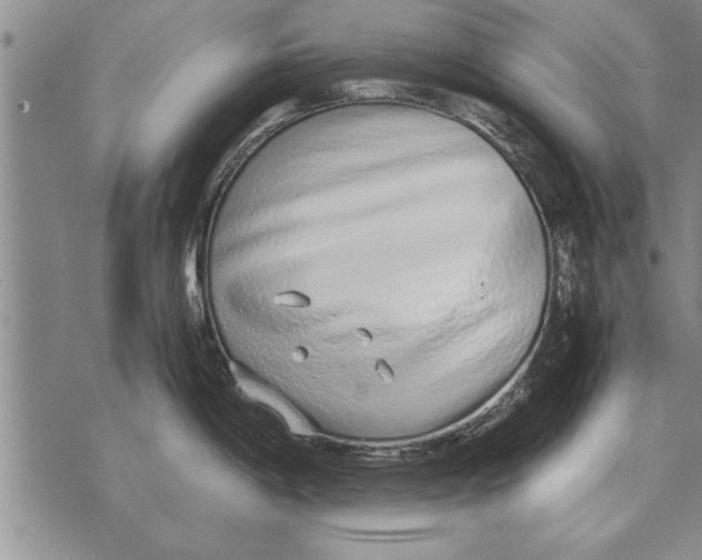 X0000071831198200607290034