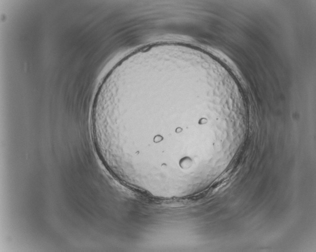 X0000071831199200607290034