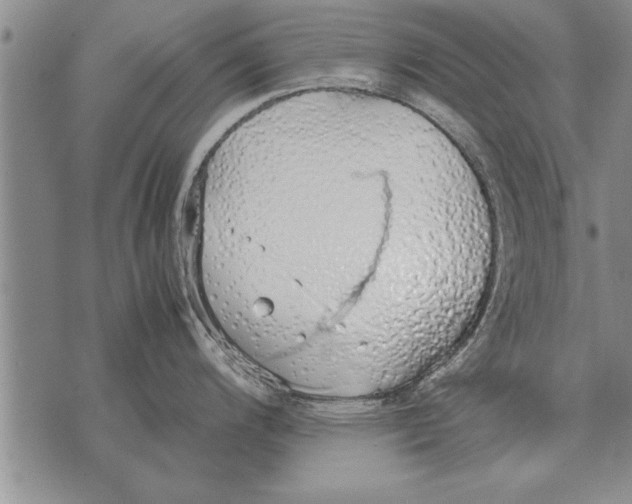 X0000071831200200607290034