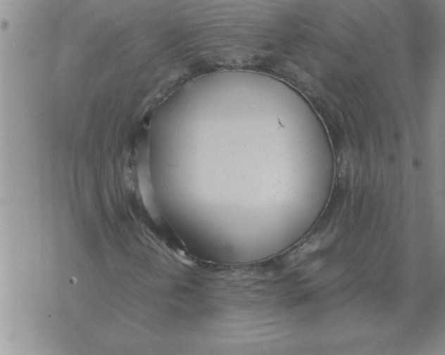 X0000071831202200607290034