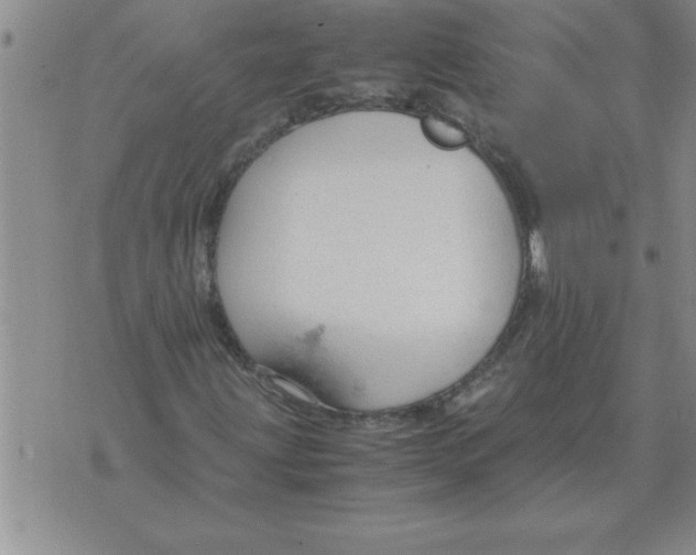 X0000071831203200607290034