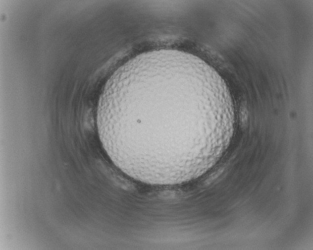 X0000071831204200607290034