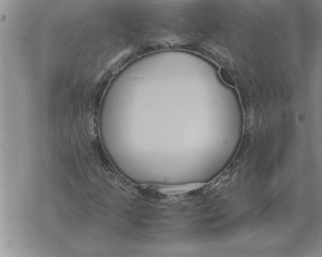 X0000071831205200607290034