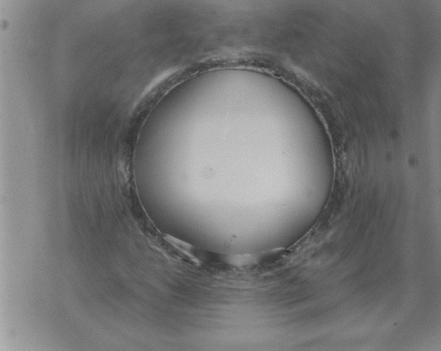 X0000071831206200607290034