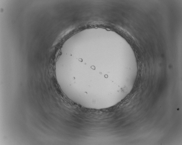 X0000071831207200607290034