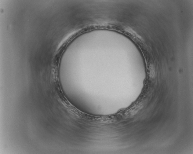 X0000071831208200607290034