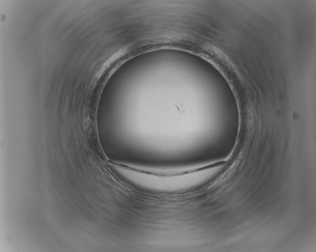 X0000071831210200607290034