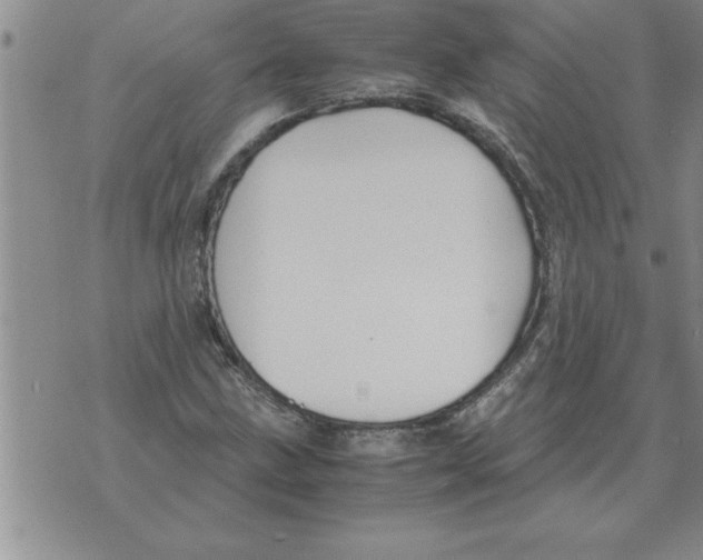 X0000071831211200607290034