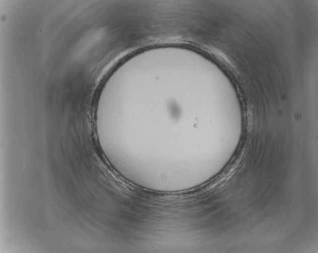 X0000071831212200607290034