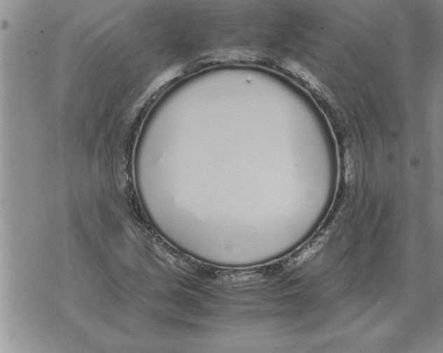 X0000071831213200607290034